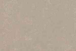 Линолеум Forbo Marmoleum Decibel on Order 370835 fossil фото  | FLOORDEALER